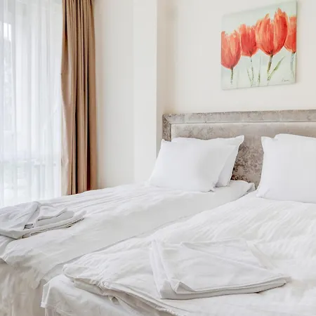 Jupiter 1 Family バルチク