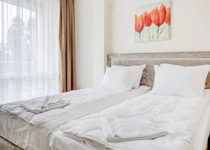 Jupiter 1 Family Μπαλτσίκ